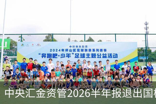 中央汇金资管2026半年报退出国检集团前十大股东名单