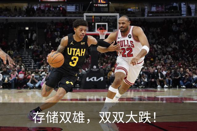 存储双雄，双双大跌！