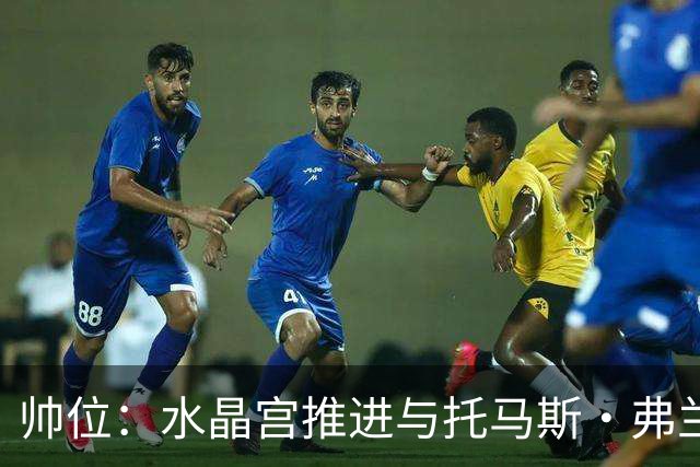 帅位：水晶宫推进与托马斯·弗兰克的接替接触