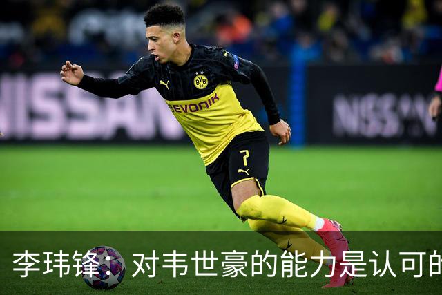 李玮锋：对韦世豪的能力是认可的，他要把情绪管理做得更好