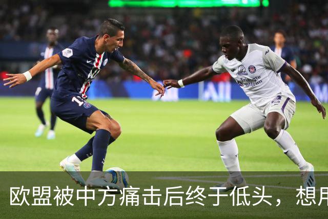 欧盟被中方痛击后终于低头，想用一换一来救阿斯麦供应商