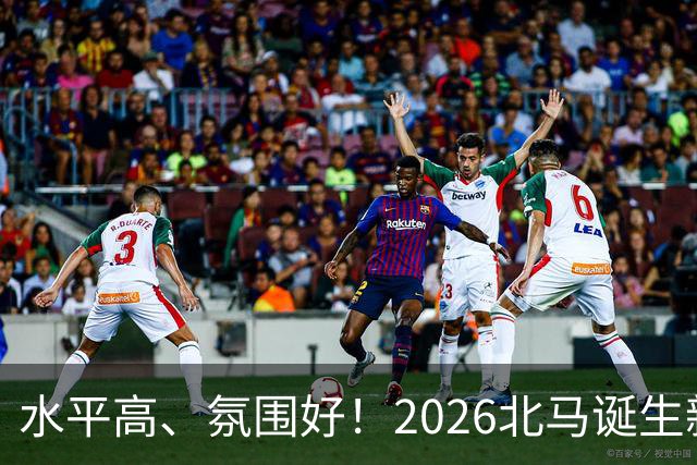 水平高、氛围好！2026北马诞生新纪录，赛事组织获选手认可