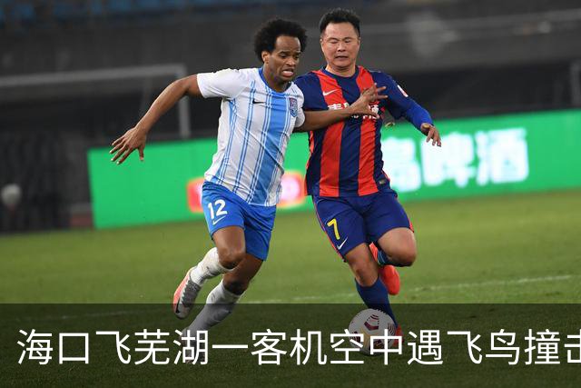 海口飞芜湖一客机空中遇飞鸟撞击，起飞20分钟后返航检查，桂林航空客服回应
