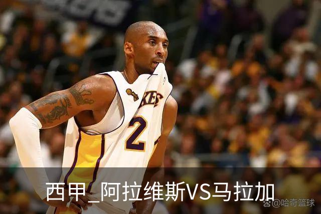 西甲 阿拉维斯VS马拉加