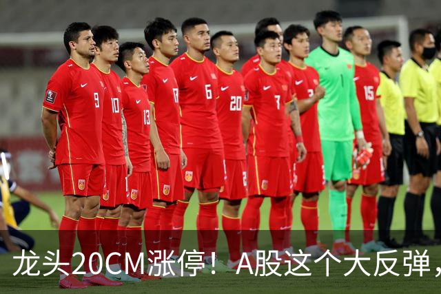 龙头20CM涨停！A股这个大反弹，太提气了！